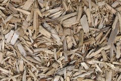biomass boilers Skerton